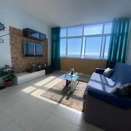 Casa Gran Danés Santa Cruz de Tenerife